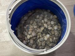 -东疆理想海岸沙滩景区