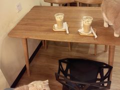 -滚猫咖啡·猫咖·猫友好撸猫(未来城店)