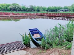 -金银湖国家城市湿地公园
