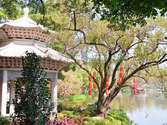 -荔湾湖公园