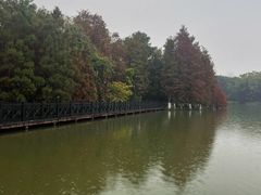 -海珠湖公园