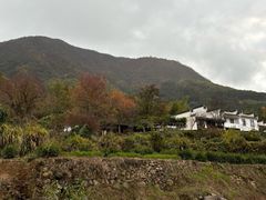 -塔川景区