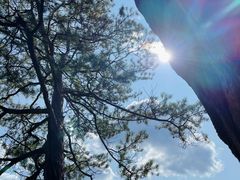 -五女峰国家森林公园