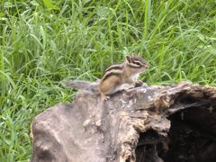 -长春市南湖公园