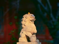 -西安大兴善寺