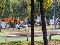 -爪吧宠物乐园 (温榆河示范区店)