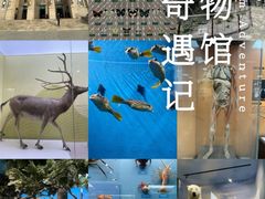 -国家自然博物馆