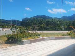 -洲晓鱻舟山海鲜(2号店)