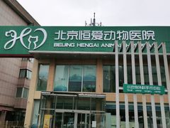 -北京恒爱动物医院(清景园分院)