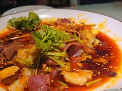-易老妈蹄花.特色川菜(人民公园总店)