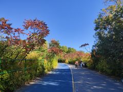 -北京奥林匹克公园