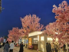 -首开·龙湖成都西宸天街