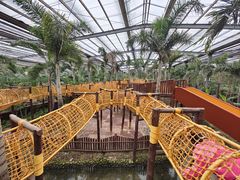 -呀路古热带植物园
