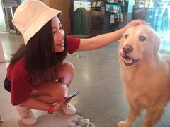 -百好乐宠物友好餐厅(朝外大街店)