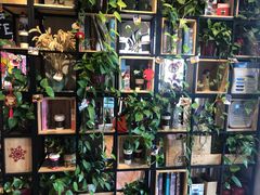 -ZING COFFEE 镜咖啡