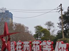-西苑公园
