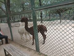 -宿豫区运河湾森林动物园