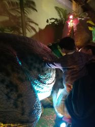 -恐龙探索乐园(磁器口店)