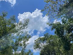 -蜀冈西峰生态公园