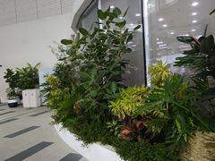 -南山图书馆(常兴路店)