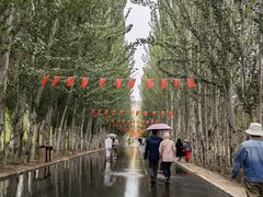 -拜城克孜尔千佛洞-售票处