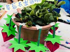-杨梅红艺术教育(水贝教学中心)