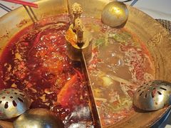 -小龙翻大江文化火锅(宽窄店)