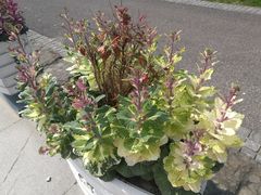 -上海山野camping·户外天幕烧烤·团建拓展营地
