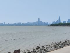 -深圳湾公园(南山区)
