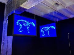 -现代汽车文化中心 Hyundai Motorstudio Beijing