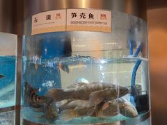 -老船舫·现做活鲜鱼馆(东郊记忆店)