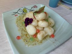 桂花米酒酿马蹄-大眼锅贴水饺(河东店)