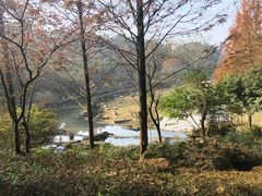 -铁山坪森林公园