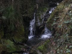 -鹿院坪生态旅游景区