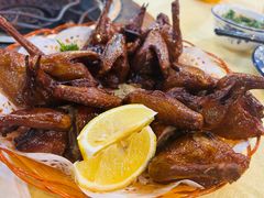 -一煲鸽