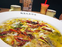 -新太二·鲜料川菜(万泰汇店)