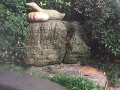 -杭州第一世界大酒店·云曼温泉