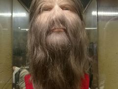 -信不信由你博物馆