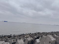 -上海滨江森林公园