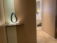 -深圳国际会展中心希尔顿酒店(前海华发冰雪世界店)