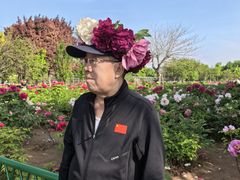 -曹州牡丹园