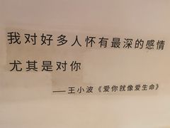 -猫的天空之城概念书店(苏州平江店)