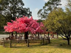 -常德桃花源景区