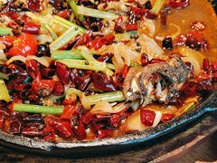 -老板恋上鱼(恒隆广场店)