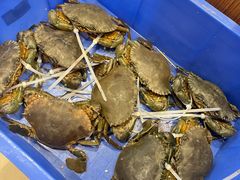 -创味·民间海南菜·非遗藤桥排骨(藤桥·免税城店)