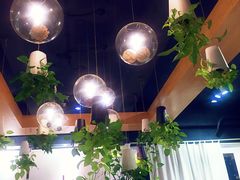 -柴务处·柴犬主题狗咖