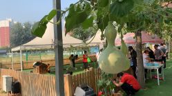 -萌宠亲子动物乐园(槐房万达店)