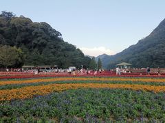 -广州市石门国家森林公园