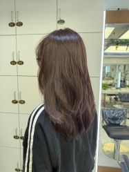 -镁连社·美联社