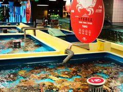 -日进一片海.生腌海鲜火锅.宵夜烧烤(三里屯总店)